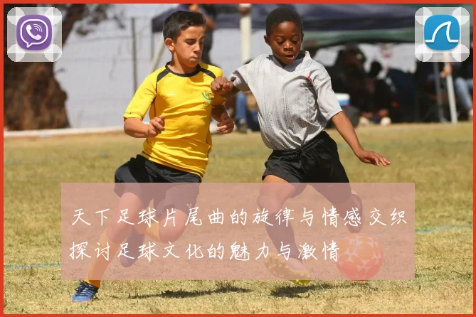 天下足球片尾曲的旋律与情感交织探讨足球文化的魅力与激情