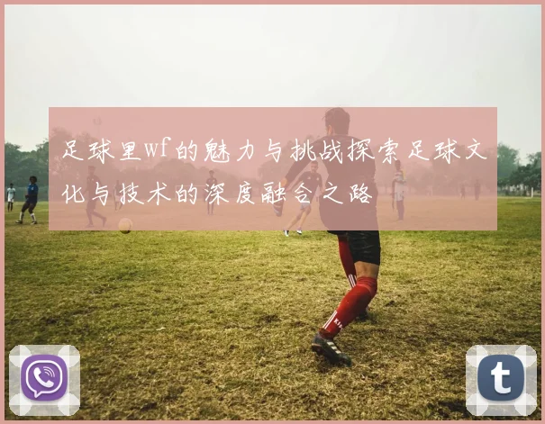 足球里wf的魅力与挑战探索足球文化与技术的深度融合之路