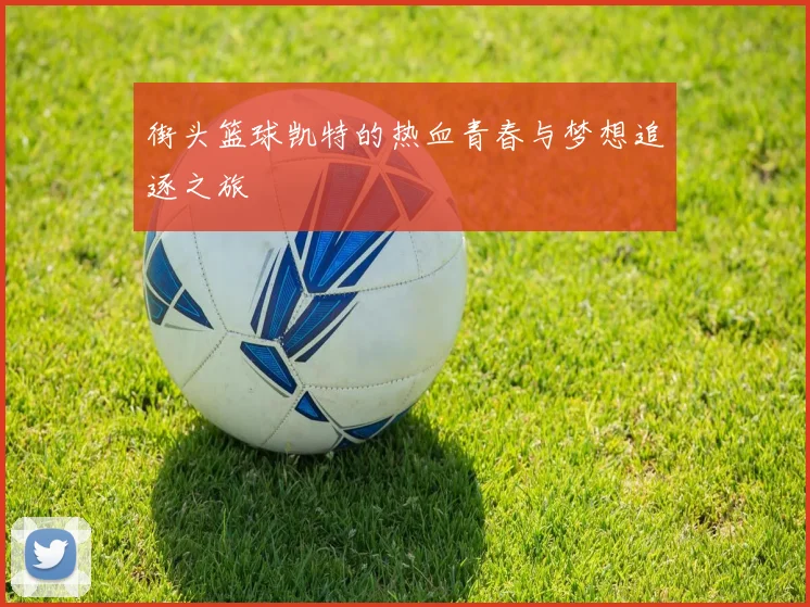 街头篮球凯特的热血青春与梦想追逐之旅