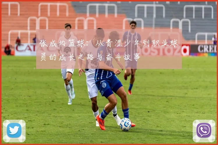 张成均篮球：从青涩少年到职业球员的成长之路与奋斗故事