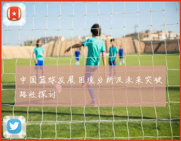 中国篮球发展困境分析及未来突破路径探讨
