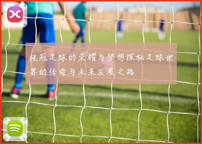 桂冠足球的荣耀与梦想探秘足球世界的传奇与未来发展之路