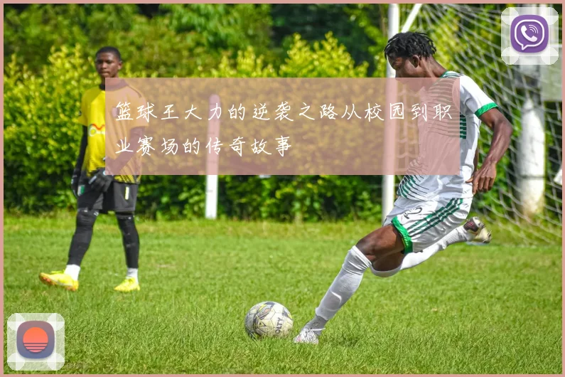 篮球王大力的逆袭之路从校园到职业赛场的传奇故事