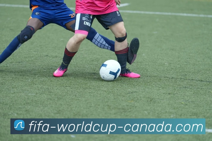 世界杯官方发展历程